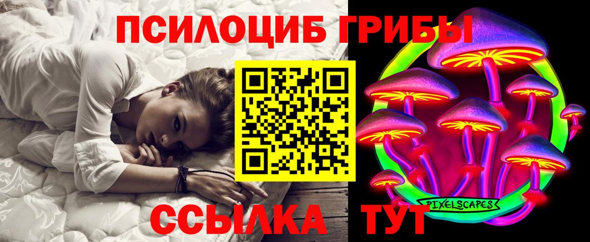 Галлюциногенные грибы GOLDEN TEACHER Кольчугино